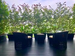 8 Napier (D10), Condominium #554729201